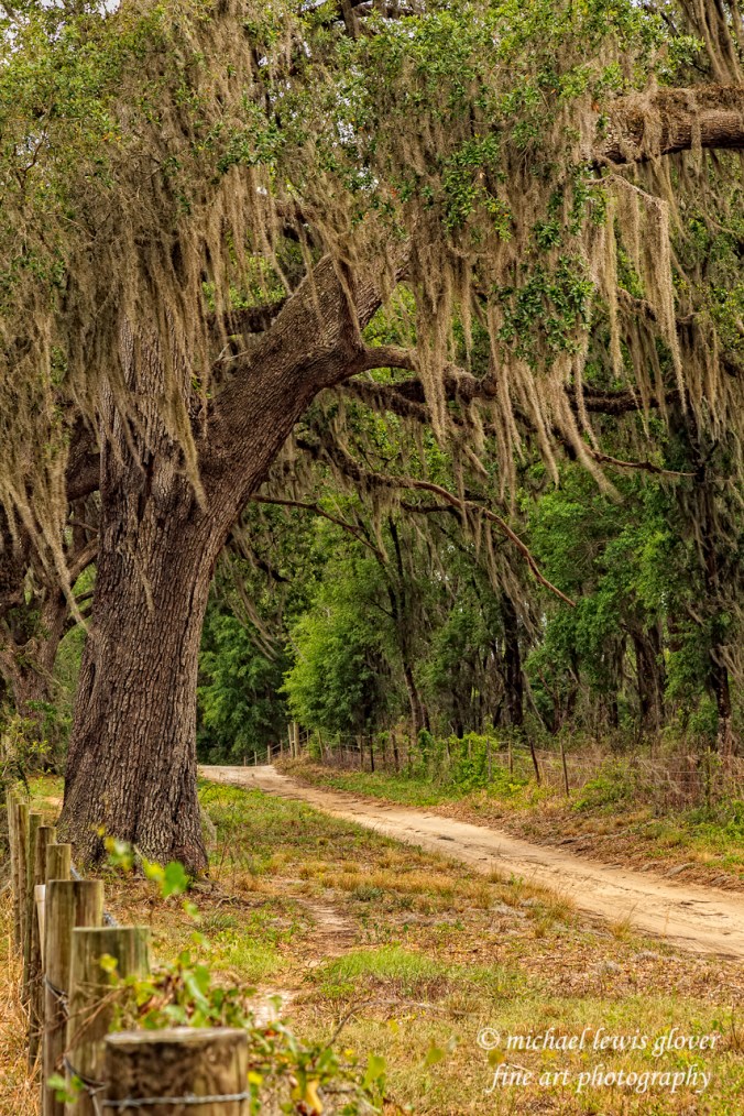 Makes Me Wanna Take a Back Road